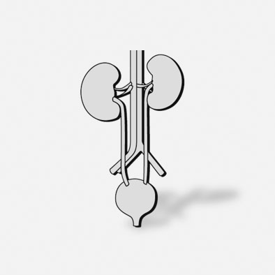 18_urologie