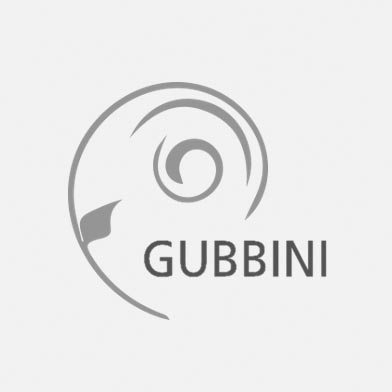 E4_Gubbini