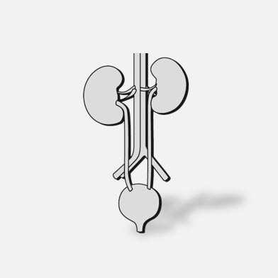 E5_Urologie