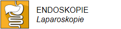icon_endo_lapa