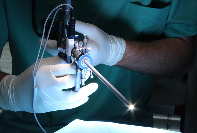 products_endoscopy