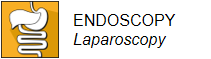 icon_endo_lapa_en