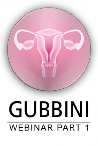image_gub-Webinar_part1 image_gub-Webinar_part1