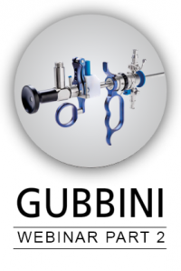 image_gub-Webinar_part2 image_gub-Webinar_part2