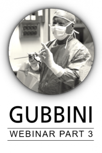 image_gub-Webinar_part3 image_gub-Webinar_part3