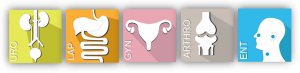endoscopy-sections